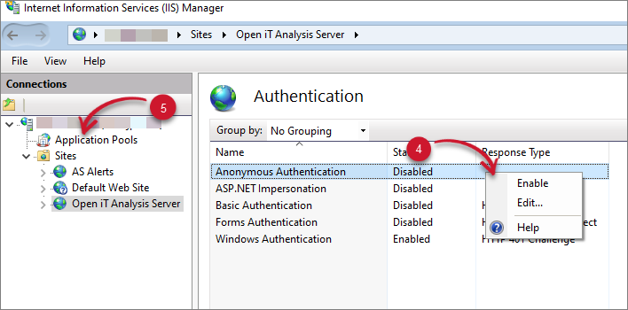 Web Site Authentication