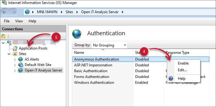 Web Site Authentication