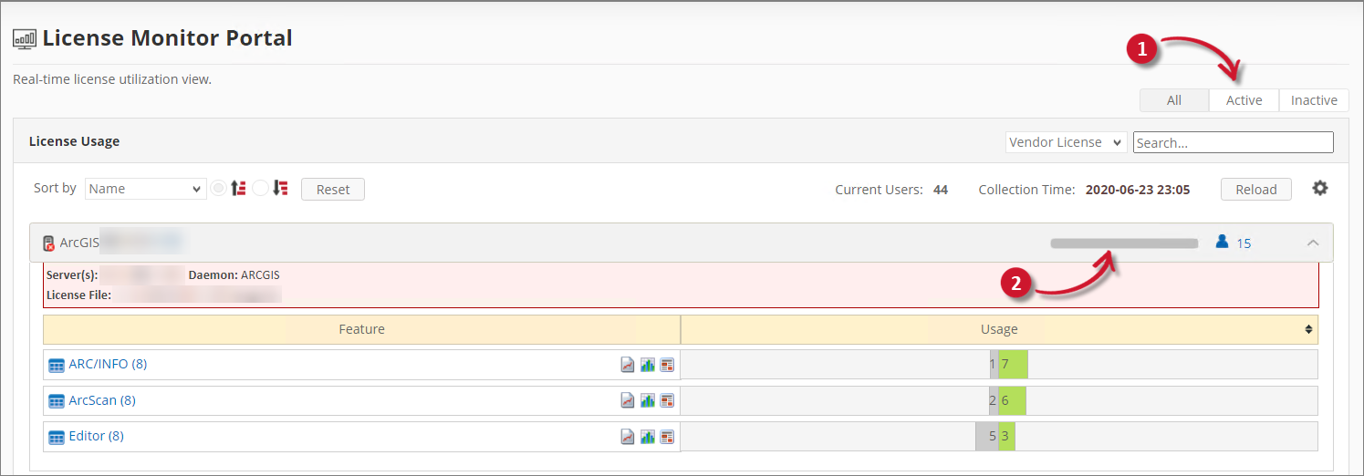 License Monitor Portal Global Filters