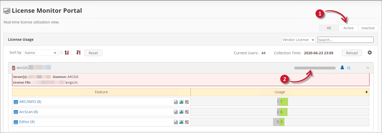 License Monitor Portal Global Filters