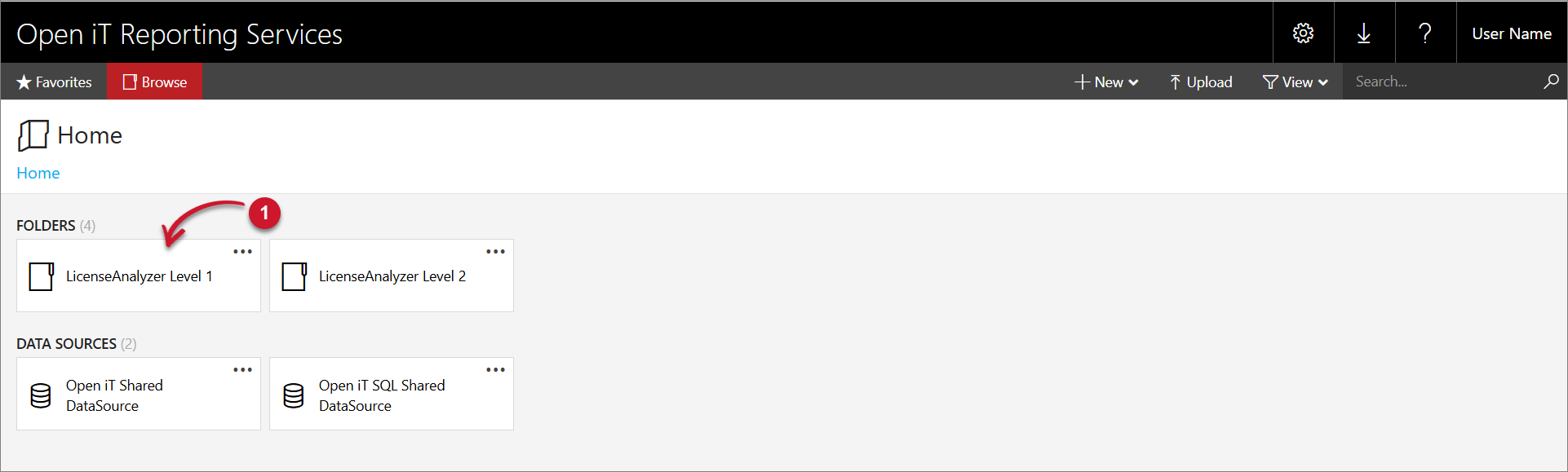 LicenseAnalyzer Level 1 Folder